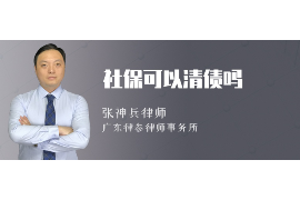 定陶专业讨债公司有哪些核心服务？