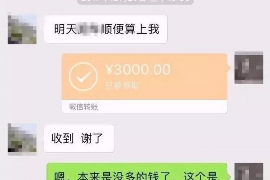 定陶定陶的要账公司在催收过程中的策略和技巧有哪些？
